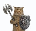 Cat viking with battle axe 2 Royalty Free Stock Photo