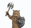 Cat viking with battle axe Royalty Free Stock Photo