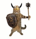 Cat with mace and shield Royalty Free Stock Photo