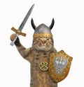 Cat in viking armor 3