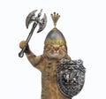 Cat viking with two sided axe Royalty Free Stock Photo