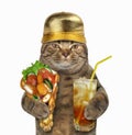 Cat with waffles and cold tea Royalty Free Stock Photo