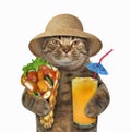 Cat with waffles and juice Royalty Free Stock Photo