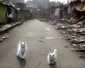 White cat walking in slum with broken house and electric pole -Generative AI