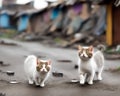 Cute cat walking in slum with broken house and electric pole -Generative AI