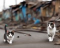 White cat walking in slum with broken house and electric pole -Generative AI