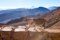 The cat walks along the trail against the backdrop of the mountain Royalty Free Stock Photo