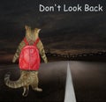 Cat walks down road at night Royalty Free Stock Photo