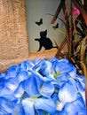 Cat wall art with butterflies and blue flowers Royalty Free Stock Photo