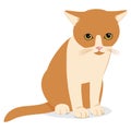Cat Wants To Come In. Sad Forlorn Cat. Cartoon Vector Illustration.