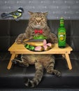 Cat wants to eat stuffed fish Royalty Free Stock Photo