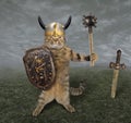 Cat warrior in field Royalty Free Stock Photo