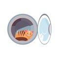 Cat in the washing machine drum. Cozy cat is naughty. Kitty inside laundry washer flat cartoon  illustration isolated on Royalty Free Stock Photo