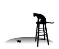 Cat Watching A Mouse on Stool