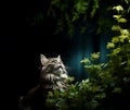 Cat watching the plant, light, photorealistic image, copy-space