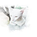 Cat watercolor painting retouch.