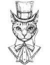 Cat wearing cylinder top hat and monocle. Hipster style hand drawn vector illustration Royalty Free Stock Photo