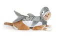 Cat Wearing Funny Shark Halloween Costume Royalty Free Stock Photo