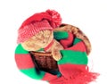 Cat wearing hat and scarf Royalty Free Stock Photo