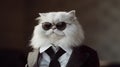 Cat wearing a neat suit and a bow tie, wearing sunglasses, Generative AI