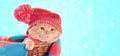 Cat wearing a red knitting hat with pompom and a scarf lying in a basket Royalty Free Stock Photo