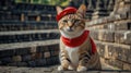 a cat wearing a red scarf and hat is taking a selfie. Background of temples in Indonesia, AI generated image Royalty Free Stock Photo