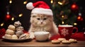 A beautiful kitten cat wearing Christmis cap with sweets on the table