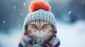 a cat wearing a scarf and hat in winter Royalty Free Stock Photo