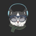 Cat Wears headphones illustration