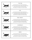 Cat weight chart in infographic table. Kitties silhouettes with normal and abnormal body condition. Thin, ideal