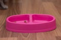 cat wet food in red plastic bowl Royalty Free Stock Photo