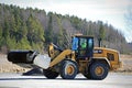 Cat Wheel Loader Bucket Sweeper Cleans Yard