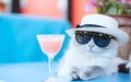 A cat in a white hat and dark sunglasses with a glass of pink drink looks at the camera against a blue blurred background