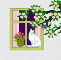 Cat in the Window Royalty Free Stock Photo