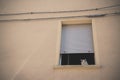 A cat on the window Royalty Free Stock Photo