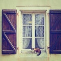 Cat on the Window Royalty Free Stock Photo