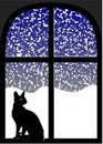 Cat in window at snowy night