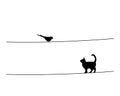 Bird silhouette on wire and cat silhouette, vector Royalty Free Stock Photo