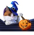 Cat in wizard hat and halloween pumpkin