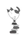 Cat on wobbly stone piles Royalty Free Stock Photo