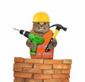 Cat worker with drill and hammer 2