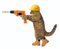 Cat worker with drill