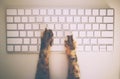 Cat Working With Computer Keyboard And Mouse Royalty Free Stock Photo