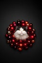 cat xmas card portrait with copy space. sticking head through christmas wreath Royalty Free Stock Photo