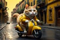 cat in yellow overalls on a moped, food delivery man Royalty Free Stock Photo