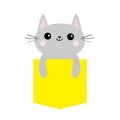 Cat in yellow pocket. Cute cartoon character. Gray kitten Smiling kitty. Dash line. Pet animal collection. T-shirt baby design. Wh Royalty Free Stock Photo