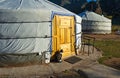 Cat and Yurt