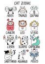 Cat Zodiac hand drawn astrology twelve signs. Cartoon horoscope cats on white background.