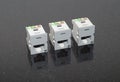 Cat5e Ethernet Jacks Royalty Free Stock Photo