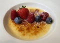 Catalan Cream. Creme brulee, traditional spanish dessert